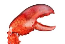 Автор OpenClaw Приєднується до OpenAI для Розробки Агентів ІІ