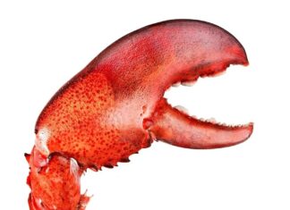 Автор OpenClaw Приєднується до OpenAI для Розробки Агентів ІІ