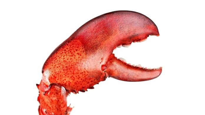 4963b9f0-e526-45c2-ac60-5f8be75105ce