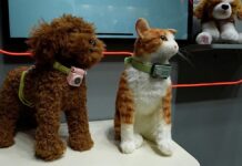 PetPhone: Пристрій з ІІ, який дозволяє вашому собаці “дзвонити” вам