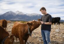 Пітер Тіль Інвестує в Стартап, що революціонує Тваринництво з Розумними Нашийниками