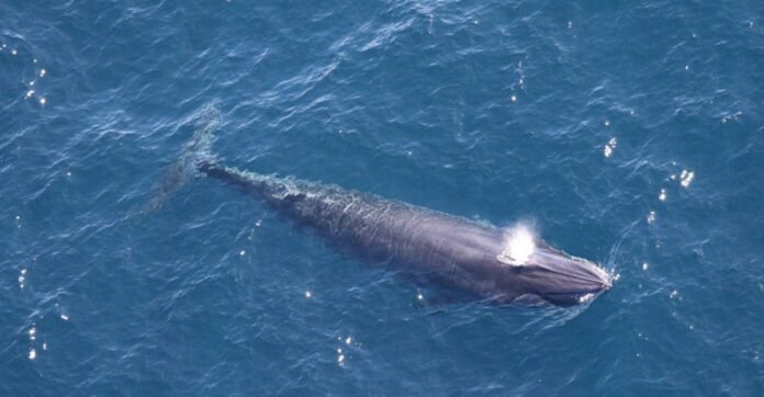 93f2fe81-5d04-4d1a-a17e-e2daaa58a8c4