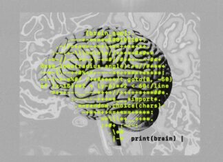 Межі «Програмного мозку»: чому бум ІІ викликає суспільне невдоволення