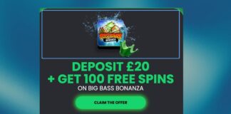 Casino Kings: draai groot of niet